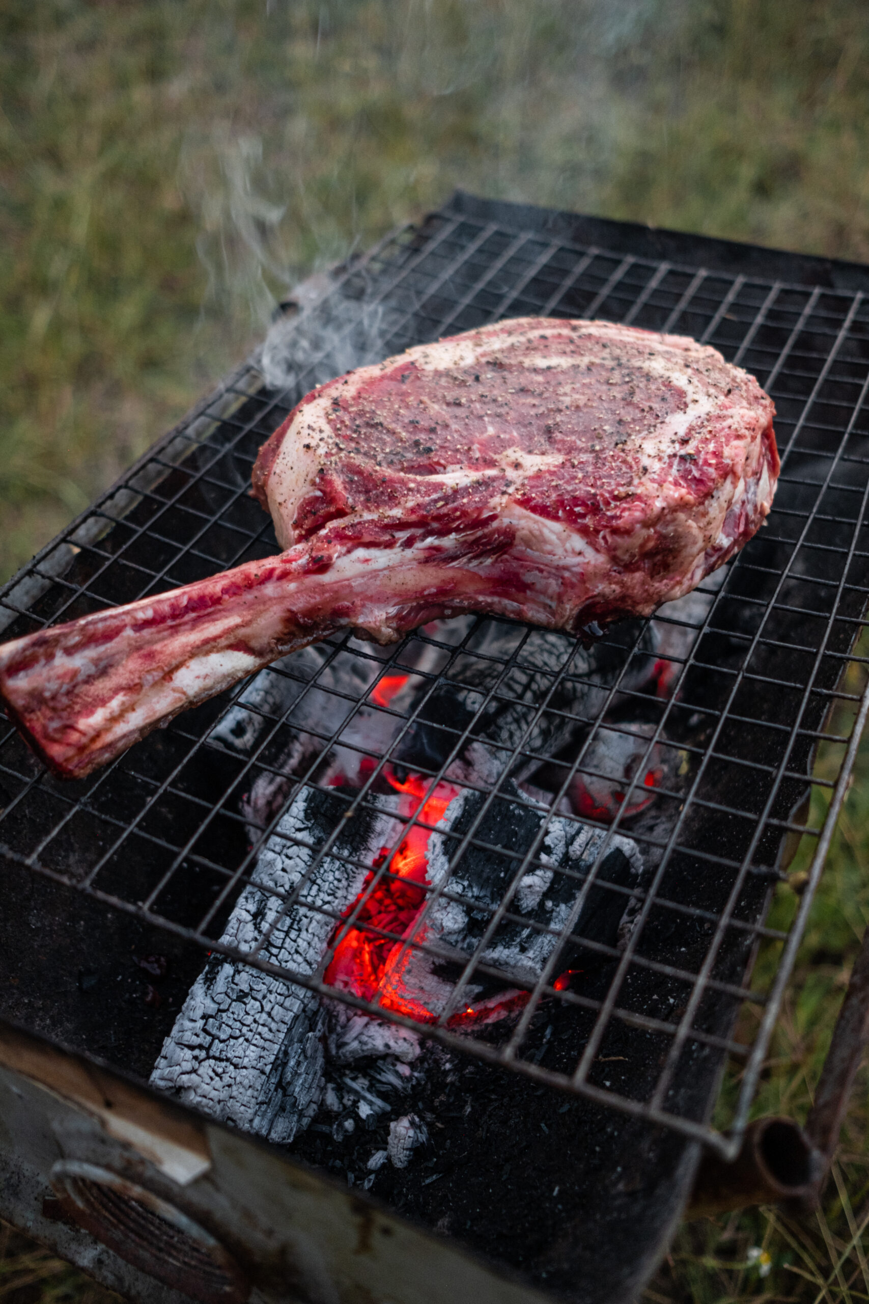 cooking steak over fire