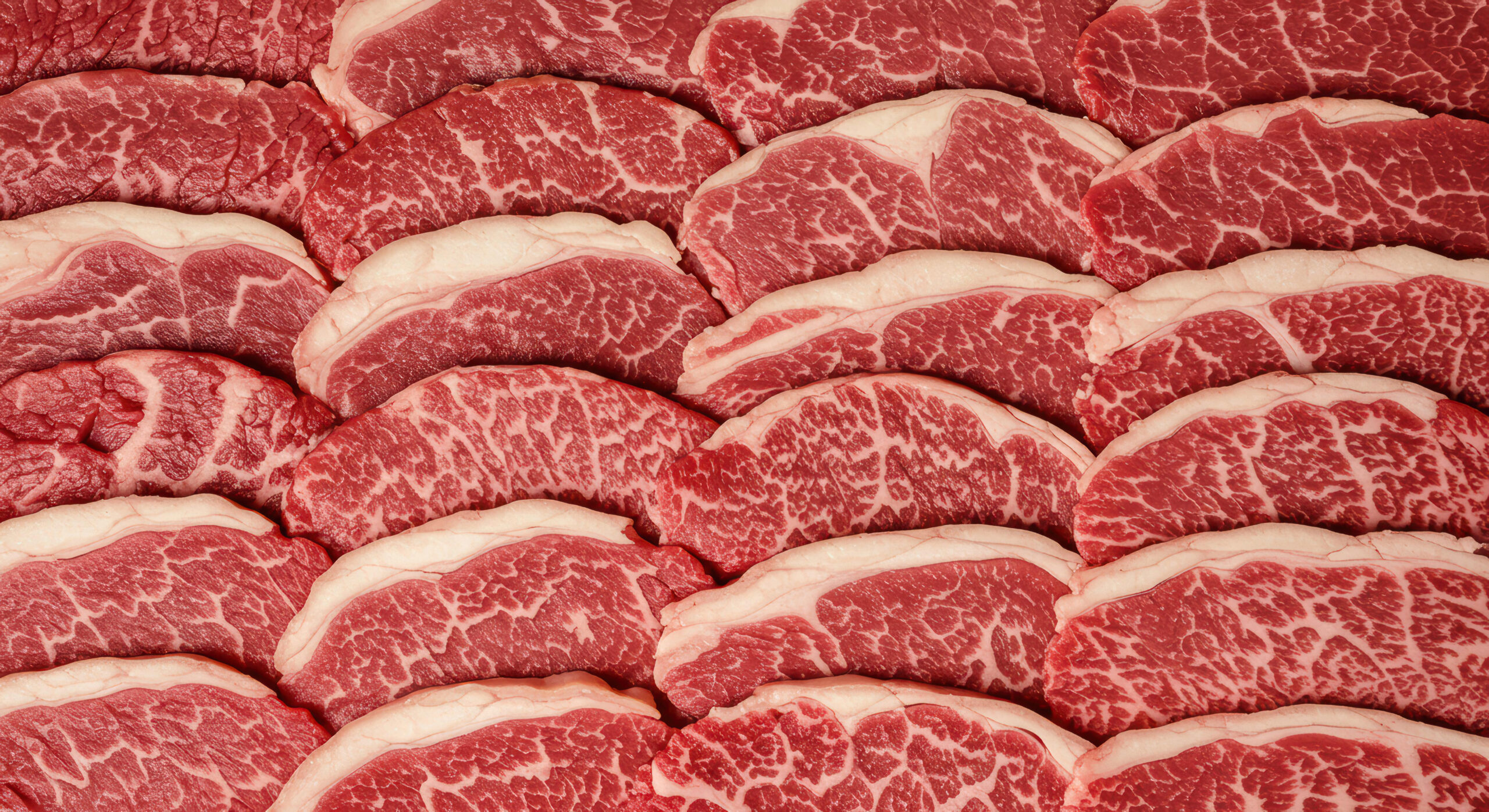 Wagyu genetics