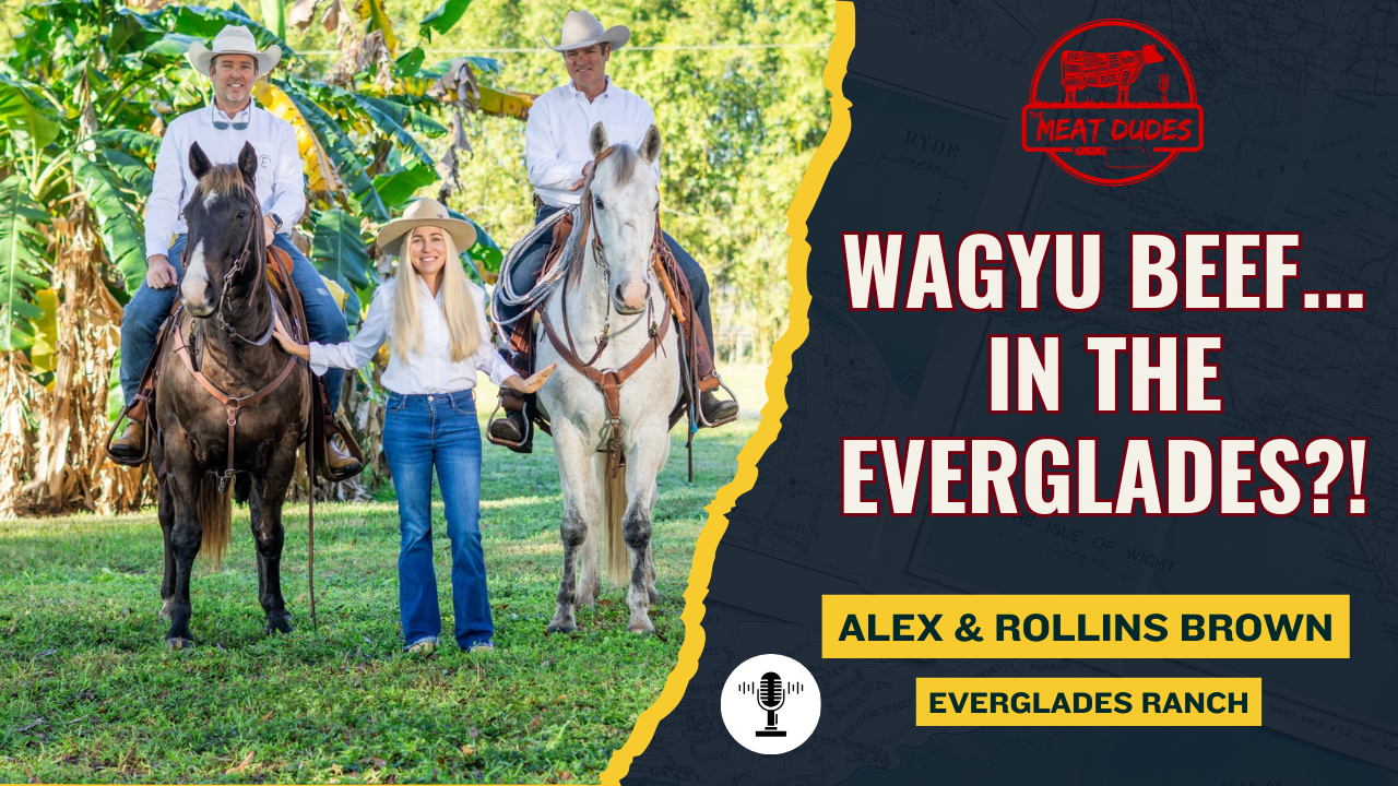 American Wagyu in the Everglades